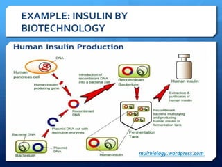 EXAMPLE:	
  INSULIN	
  BY	
  
BIOTECHNOLOGY	
  
muirbiology.wordpress.com	
  
 