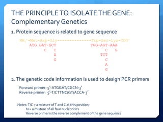 THE	
  PRINCIPLE	
  TO	
  ISOLATE	
  THE	
  GENE:	
  
Complementary	
  Genetics	
  
1.	
  Protein	
  sequence	
  is	
  related	
  to	
  gene	
  sequence	
  	
  
NH3
+-Met-Asp-Gly--------------Trp-Ser-Lys-COO-
ATG GAT-GCT TGG-AGT-AAA
C C C G
A TCT
G C
A
G
2.	
  The	
  genetic	
  code	
  information	
  is	
  used	
  to	
  design	
  PCR	
  primers	
  
Forward	
  primer:	
  5ʼ’-­‐ATGGAT/CGCN-­‐3ʼ’	
  
Reverse	
  primer:	
  	
  5ʼ’-­‐T/CTTNC/GT/ACCA-­‐3ʼ’	
  
Notes:	
  T/C	
  =	
  a	
  mixture	
  of	
  T	
  and	
  C	
  at	
  this	
  position;	
  
	
  	
  	
  	
  	
  	
  	
  	
  	
  	
  	
  	
  N	
  =	
  a	
  mixture	
  of	
  all	
  four	
  nucleotides	
  
	
  	
  	
  	
  	
  	
  	
  	
  	
  	
  	
  	
  Reverse	
  primer	
  is	
  the	
  reverse	
  complement	
  of	
  the	
  gene	
  sequence	
  
 