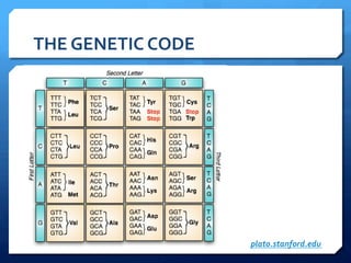 THE	
  GENETIC	
  CODE	
  
plato.stanford.edu	
  
 