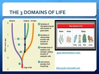 THE	
  3	
  DOMAINS	
  OF	
  LIFE	
  
bio1151b.nicerweb.net	
  	
  
gcps.desire2learn.com	
  
 