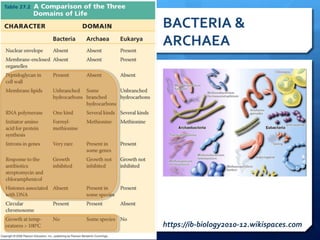 BACTERIA	
  &	
  
ARCHAEA	
  
https://ib-­‐biology2010-­‐12.wikispaces.com	
  
 
