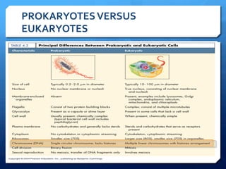 PROKARYOTES	
  VERSUS	
  
EUKARYOTES	
  
 