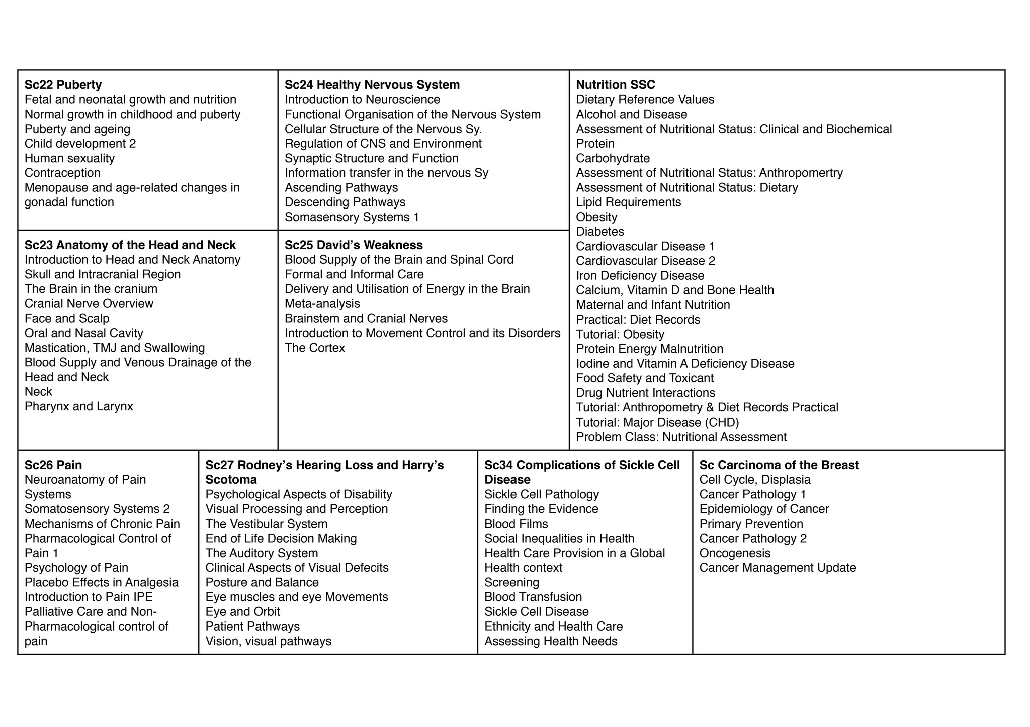 Mbbs2 page view ppt