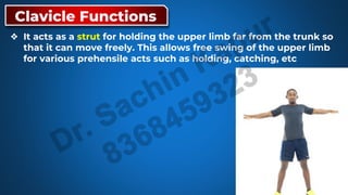 MBBS Anatomy-Upper Limb L-2.pdf uploaded | PDF