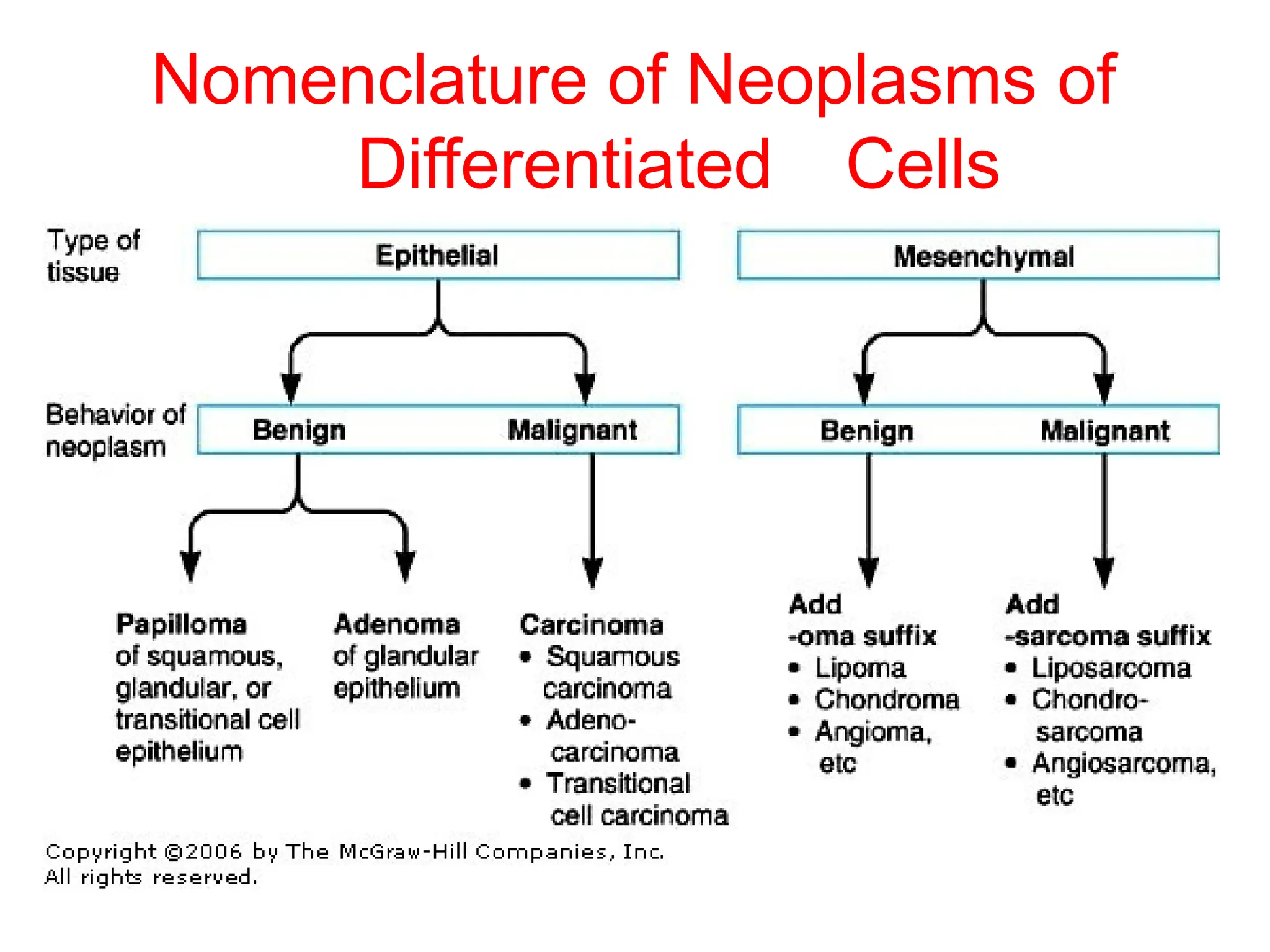 Nomenclature of Neoplasms of
Differentiated Cells
 