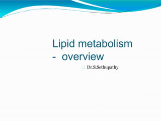 Lipid metabolism
- overview
Dr.S.Sethupathy
 