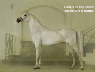 Porque no hay heridas 
que no cure el tiempo. 
 