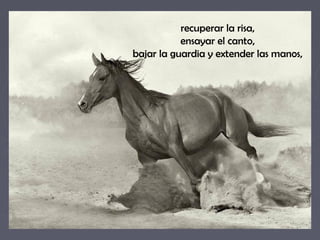 recuperar la risa, 
ensayar el canto, 
bajar la guardia y extender las manos, 
 