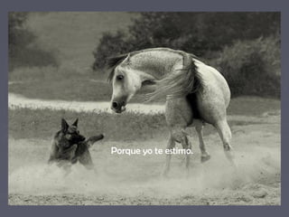 Porque yo te estimo. 
 