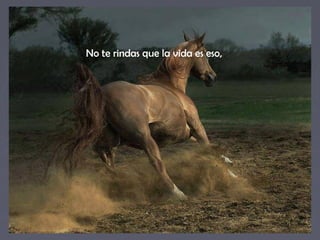 No te rindas que la vida es eso, 
 
