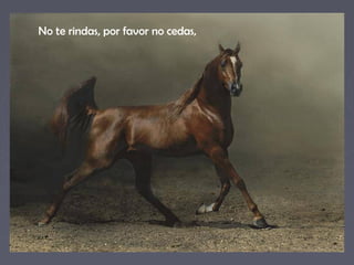 No te rindas, por favor no cedas, 
 