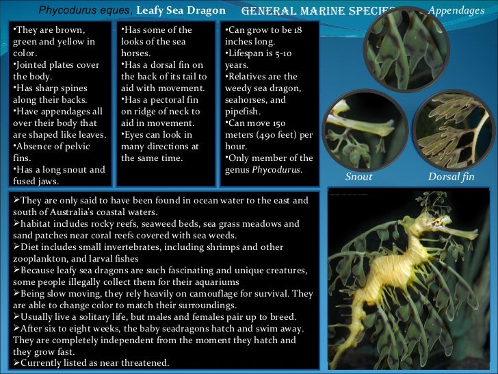 Mbfs Student Field Guide 2