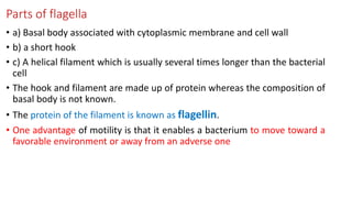 Parts of flagella
• a) Basal body associated with cytoplasmic membrane and cell wall
• b) a short hook
• c) A helical filament which is usually several times longer than the bacterial
cell
• The hook and filament are made up of protein whereas the composition of
basal body is not known.
• The protein of the filament is known as flagellin.
• One advantage of motility is that it enables a bacterium to move toward a
favorable environment or away from an adverse one
 