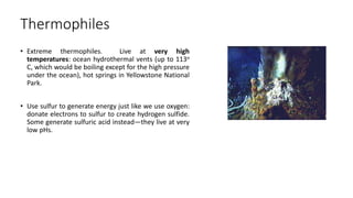 Thermophiles
• Extreme thermophiles. Live at very high
temperatures: ocean hydrothermal vents (up to 113o
C, which would be boiling except for the high pressure
under the ocean), hot springs in Yellowstone National
Park.
• Use sulfur to generate energy just like we use oxygen:
donate electrons to sulfur to create hydrogen sulfide.
Some generate sulfuric acid instead—they live at very
low pHs.
 