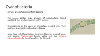 Cyanobacteria
• A major group of photosynthetic bacteria
• The oceans contain large amounts of cyanobacteria (called
plankton), that produce much of Earth’s oxygen.
• Cyanobacteria are the source of chloroplasts in plant cells. They
also have a symbiotic relationship in lichens.
• Some have cell differentiation: they form filaments in which some
cells become “heterocysts”, heavily walled cells that perform
nitrogen fixation for the other cells in the filament.
 