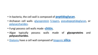 • In bacteria, the cell wall is composed of peptidoglycan.
• Archaean cell walls -glycoprotein S-layers, pseudopeptidoglycan, or
polysaccharides.
• Fungi possess cell walls made -chitin,
• Algae typically possess walls made of glycoproteins and
polysaccharides.
• Diatoms have a cell wall composed of biogenic silica.
 