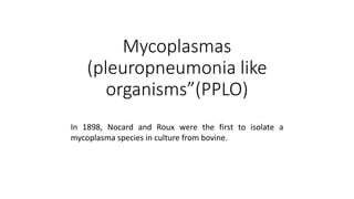 Mycoplasmas
(pleuropneumonia like
organisms”(PPLO)
In 1898, Nocard and Roux were the first to isolate a
mycoplasma species in culture from bovine.
 