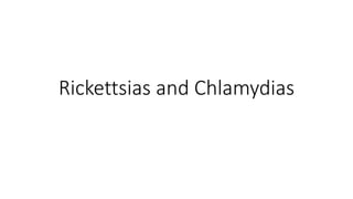Rickettsias and Chlamydias
 