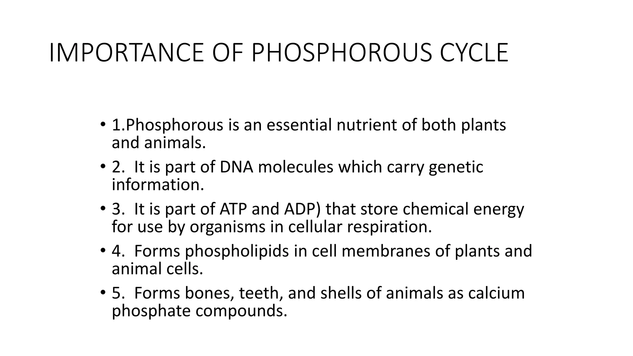 IMPORTANCE OF PHOSPHOROUS CYCLE
• 1.Phosphorous is an essential nutrient of both plants
and animals.
• 2. It is part of DNA molecules which carry genetic
information.
• 3. It is part of ATP and ADP) that store chemical energy
for use by organisms in cellular respiration.
• 4. Forms phospholipids in cell membranes of plants and
animal cells.
• 5. Forms bones, teeth, and shells of animals as calcium
phosphate compounds.
 