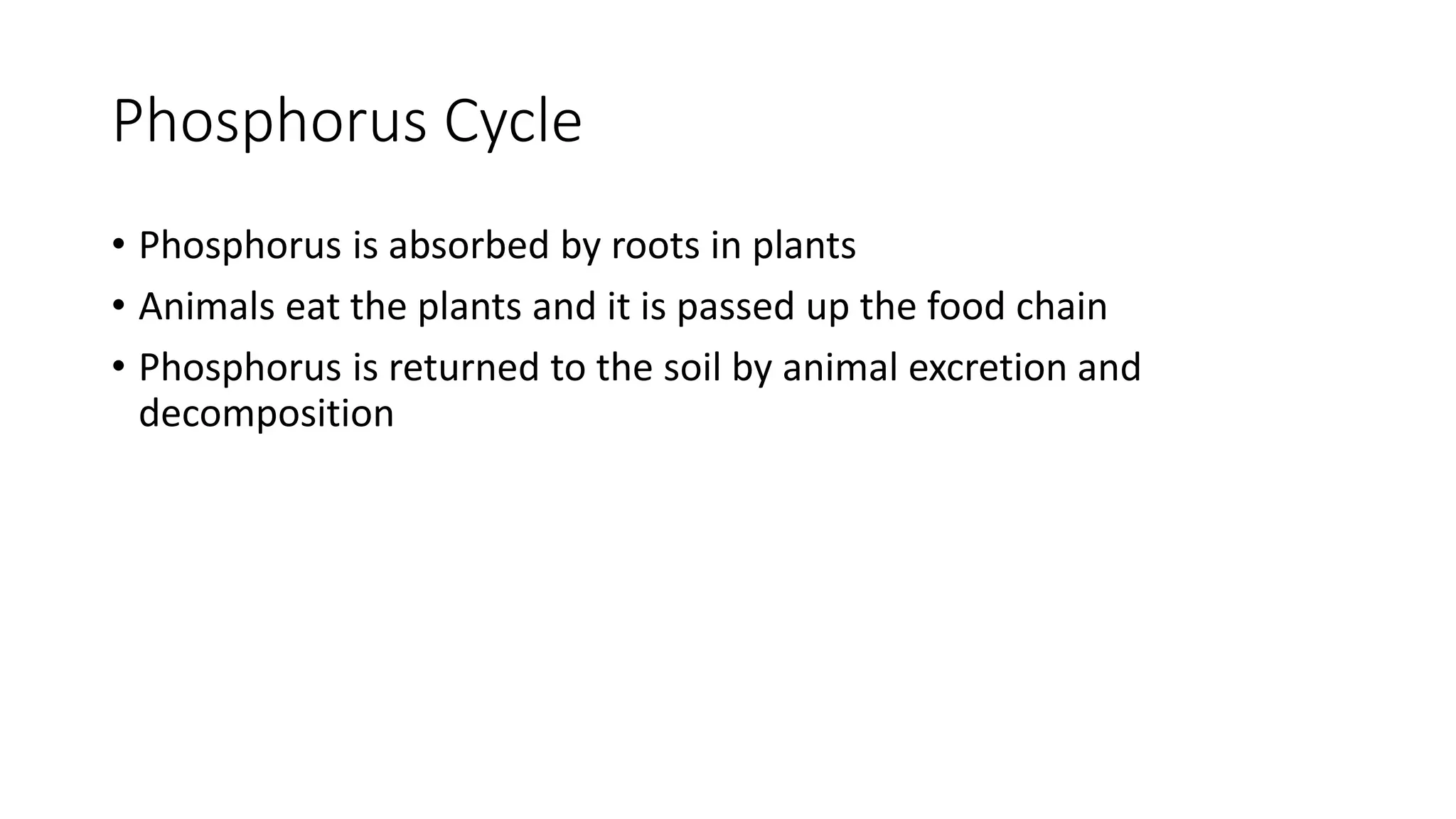 Phosphorus Cycle
• Phosphorus is absorbed by roots in plants
• Animals eat the plants and it is passed up the food chain
• Phosphorus is returned to the soil by animal excretion and
decomposition
 
