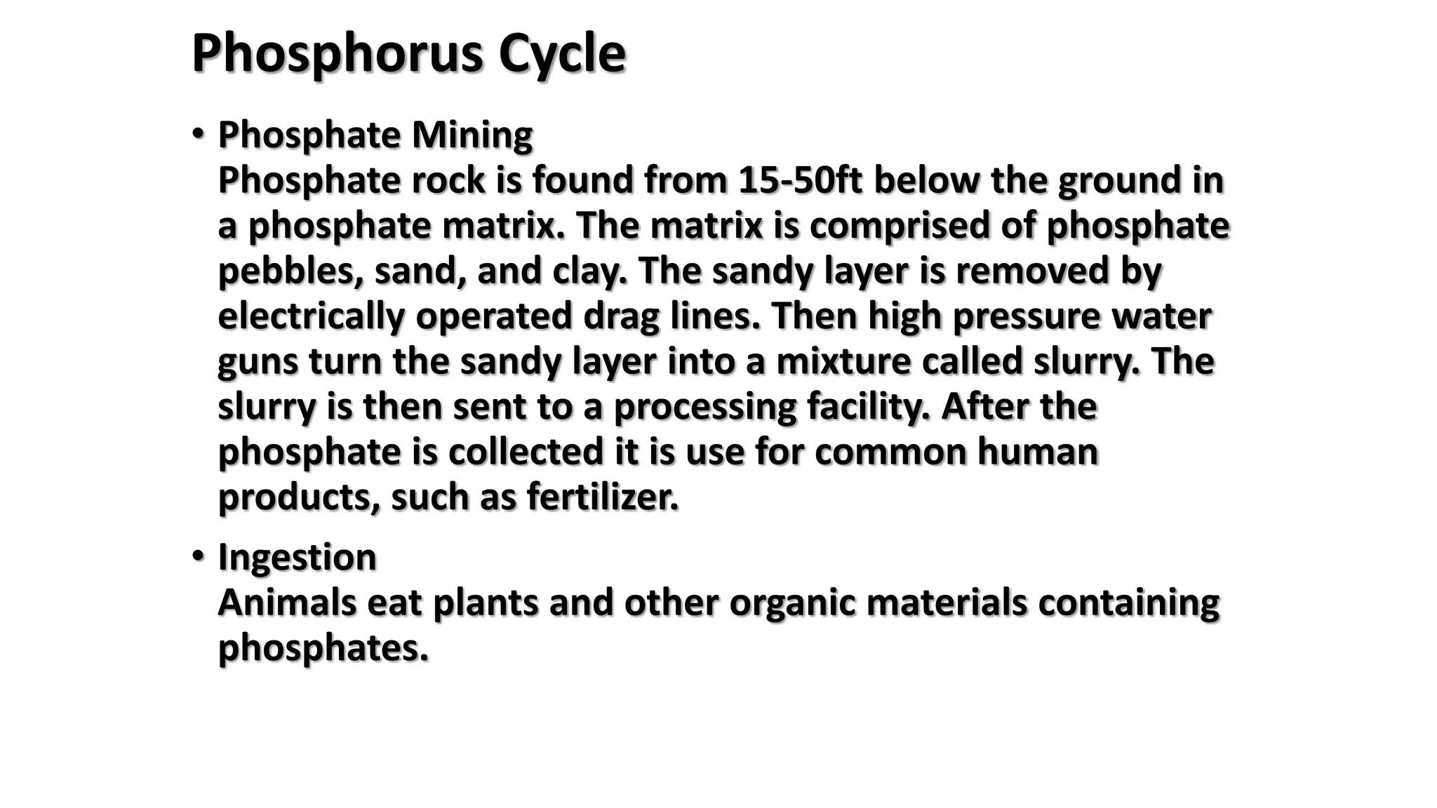Phosphorus Cycle
• Phosphate Mining
Phosphate rock is found from 15-50ft below the ground in
a phosphate matrix. The matrix is comprised of phosphate
pebbles, sand, and clay. The sandy layer is removed by
electrically operated drag lines. Then high pressure water
guns turn the sandy layer into a mixture called slurry. The
slurry is then sent to a processing facility. After the
phosphate is collected it is use for common human
products, such as fertilizer.
• Ingestion
Animals eat plants and other organic materials containing
phosphates.
 