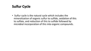 Sulfur Cycle
• Sulfur cycle is the natural cycle which includes the
mineralization of organic sulfur to sulfide, oxidation of this
to sulfate, and reduction of this to sulfide followed by
microbial incorporation of this into organic compounds.
 