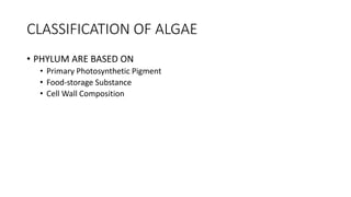 CLASSIFICATION OF ALGAE
• PHYLUM ARE BASED ON
• Primary Photosynthetic Pigment
• Food-storage Substance
• Cell Wall Compos...