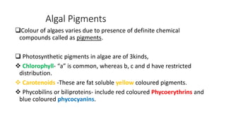 Algal Pigments
Colour of algaes varies due to presence of definite chemical
compounds called as pigments.
 Photosyntheti...