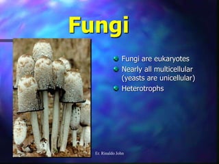 Fungi
Fungi are eukaryotes
Nearly all multicellular
(yeasts are unicellular)
Heterotrophs
Er. Rinaldo John
 