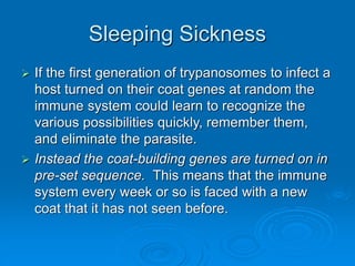 Sleeping Sickness
 If the first generation of trypanosomes to infect a
host turned on their coat genes at random the
immune system could learn to recognize the
various possibilities quickly, remember them,
and eliminate the parasite.
 Instead the coat-building genes are turned on in
pre-set sequence. This means that the immune
system every week or so is faced with a new
coat that it has not seen before.
 