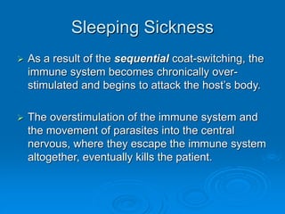 Sleeping Sickness
 As a result of the sequential coat-switching, the
immune system becomes chronically over-
stimulated and begins to attack the host’s body.
 The overstimulation of the immune system and
the movement of parasites into the central
nervous, where they escape the immune system
altogether, eventually kills the patient.
 