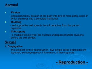 Asexual
1. Fission
- characterized by division of the body into two or more parts, each of
which develops into a complete individual.
2. Budding
- self supportive cell sprouts from & detaches from the parent
organism.
3. Schizogony
- a multiple fission type; the nucleus undergoes multiple divisions
before the cell divides.
Sexual
1. Conjugation
- the simplest form of reproduction. Two single-celled organisms link
together, exchange genetic information, & then separate.
- Reproduction -
 