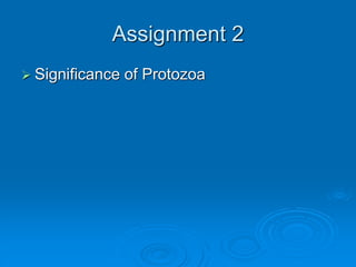 Assignment 2
 Significance of Protozoa
 