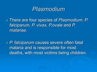 Plasmodium
 There are four species of Plasmodium: P.
falciparum, P. vivax, P.ovale and P.
malariae.
 P. falciparum causes severe often fatal
malaria and is responsible for most
deaths, with most victims being children.
 