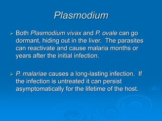 Plasmodium
 Both Plasmodium vivax and P. ovale can go
dormant, hiding out in the liver. The parasites
can reactivate and cause malaria months or
years after the initial infection.
 P. malariae causes a long-lasting infection. If
the infection is untreated it can persist
asymptomatically for the lifetime of the host.
 