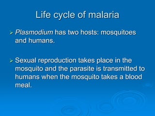 Life cycle of malaria
 Plasmodium has two hosts: mosquitoes
and humans.
 Sexual reproduction takes place in the
mosquito and the parasite is transmitted to
humans when the mosquito takes a blood
meal.
 
