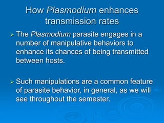 How Plasmodium enhances
transmission rates
 The Plasmodium parasite engages in a
number of manipulative behaviors to
enhance its chances of being transmitted
between hosts.
 Such manipulations are a common feature
of parasite behavior, in general, as we will
see throughout the semester.
 