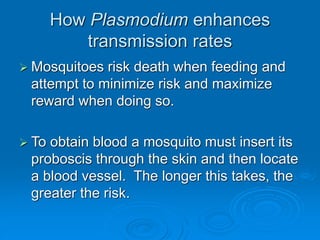 How Plasmodium enhances
transmission rates
 Mosquitoes risk death when feeding and
attempt to minimize risk and maximize
reward when doing so.
 To obtain blood a mosquito must insert its
proboscis through the skin and then locate
a blood vessel. The longer this takes, the
greater the risk.
 