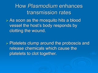 How Plasmodium enhances
transmission rates
 As soon as the mosquito hits a blood
vessel the host’s body responds by
clotting the wound.
 Platelets clump around the proboscis and
release chemicals which cause the
platelets to clot together.
 
