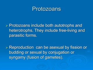 Protozoans
 Protozoans include both autotrophs and
heterotrophs. They include free-living and
parasitic forms.
 Reproduction can be asexual by fission or
budding or sexual by conjugation or
syngamy (fusion of gametes).
 