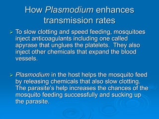 How Plasmodium enhances
transmission rates
 To slow clotting and speed feeding, mosquitoes
inject anticoagulants including one called
apyrase that unglues the platelets. They also
inject other chemicals that expand the blood
vessels.
 Plasmodium in the host helps the mosquito feed
by releasing chemicals that also slow clotting.
The parasite’s help increases the chances of the
mosquito feeding successfully and sucking up
the parasite.
 