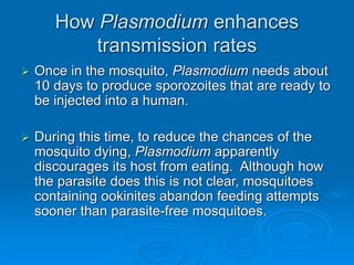 How Plasmodium enhances
transmission rates
 Once in the mosquito, Plasmodium needs about
10 days to produce sporozoites that are ready to
be injected into a human.
 During this time, to reduce the chances of the
mosquito dying, Plasmodium apparently
discourages its host from eating. Although how
the parasite does this is not clear, mosquitoes
containing ookinites abandon feeding attempts
sooner than parasite-free mosquitoes.
 