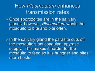 How Plasmodium enhances
transmission rates
 Once sporozoites are in the salivary
glands, however, Plasmodium wants the
mosquito to bite and bite often.
 In the salivary gland the parasite cuts off
the mosquito’s anticoagulant apyrase
supply. This makes it harder for the
mosquito to feed so it is hungrier and bites
more hosts.
 