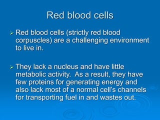 Red blood cells
 Red blood cells (strictly red blood
corpuscles) are a challenging environment
to live in.
 They lack a nucleus and have little
metabolic activity. As a result, they have
few proteins for generating energy and
also lack most of a normal cell’s channels
for transporting fuel in and wastes out.
 