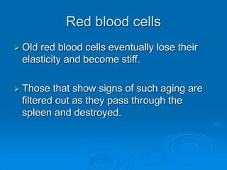 Red blood cells
 Old red blood cells eventually lose their
elasticity and become stiff.
 Those that show signs of such aging are
filtered out as they pass through the
spleen and destroyed.
 