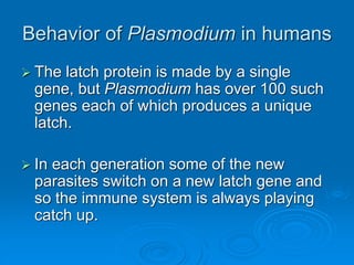 Behavior of Plasmodium in humans
 The latch protein is made by a single
gene, but Plasmodium has over 100 such
genes each of which produces a unique
latch.
 In each generation some of the new
parasites switch on a new latch gene and
so the immune system is always playing
catch up.
 