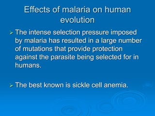 Effects of malaria on human
evolution
 The intense selection pressure imposed
by malaria has resulted in a large number
of mutations that provide protection
against the parasite being selected for in
humans.
 The best known is sickle cell anemia.
 