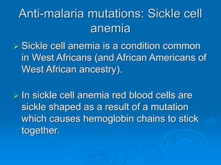 Anti-malaria mutations: Sickle cell
anemia
 Sickle cell anemia is a condition common
in West Africans (and African Americans of
West African ancestry).
 In sickle cell anemia red blood cells are
sickle shaped as a result of a mutation
which causes hemoglobin chains to stick
together.
 
