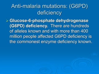 Anti-malaria mutations: (G6PD)
deficiency
 Glucose-6-phosphate dehydrogenase
(G6PD) deficiency. There are hundreds
of alleles known and with more than 400
million people affected G6PD deficiency is
the commonest enzyme deficiency known.
 