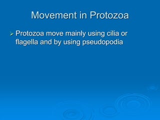 Movement in Protozoa
 Protozoa move mainly using cilia or
flagella and by using pseudopodia
 